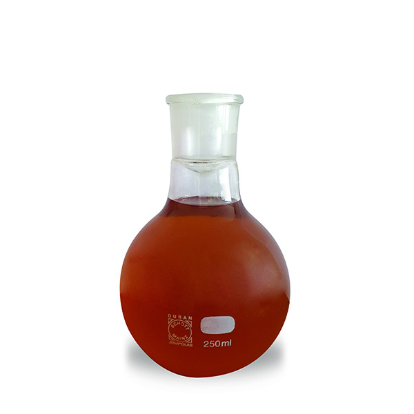 ampolla brown 1 ampolla brown 1