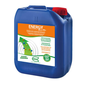energy idrogrena