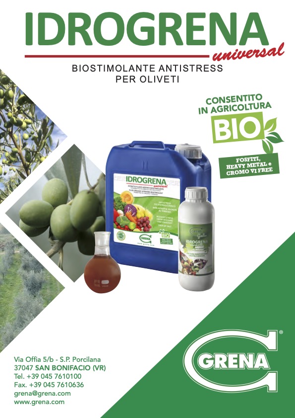 it idrogrena olivi