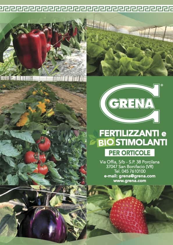 it pieghevole grena orticole