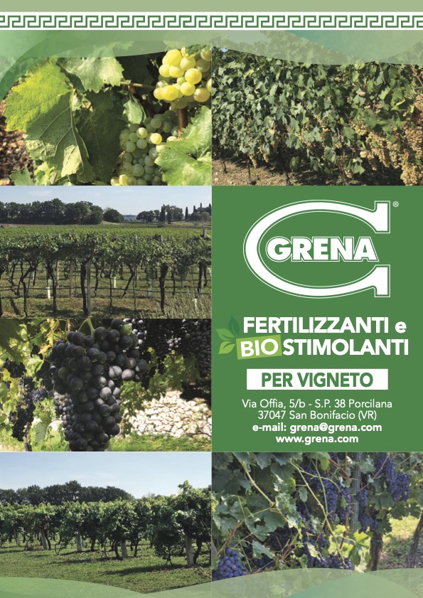 it pieghevole grena vigneto
