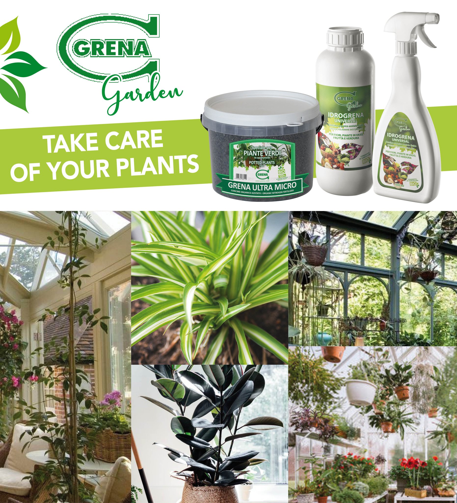 ¡CUIDA LAS PLANTAS DE TU CASA! para soportar mejor el