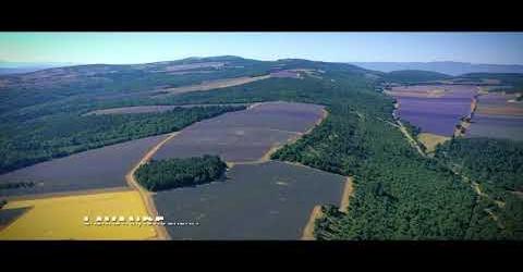 GRENA Viñedos y Lavanda en Provenza