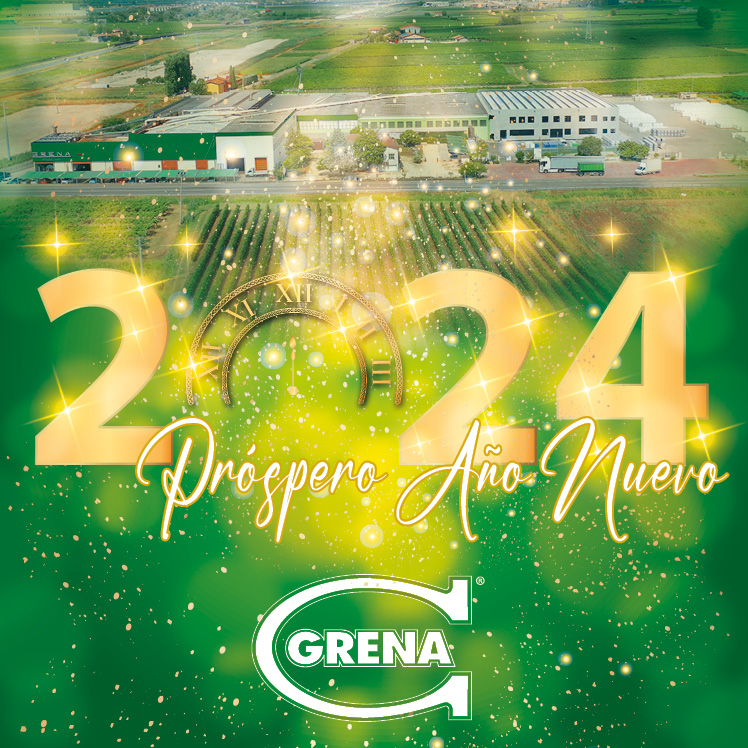 Prospero Ano Nuevo 2024