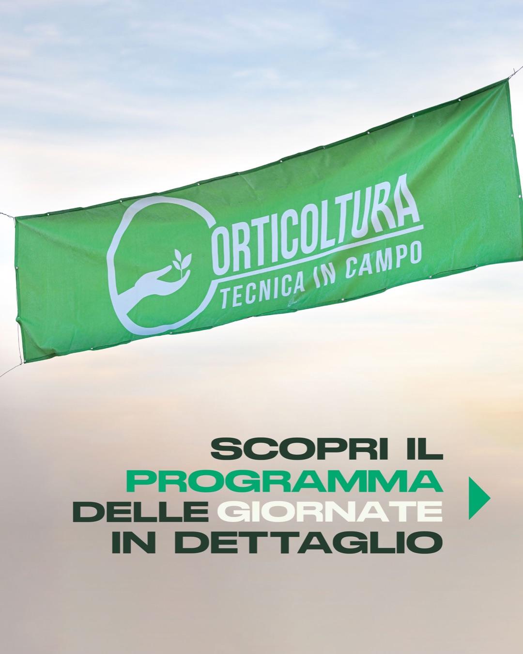 Ci siamo quasi! Dopo alcuni anni, Orticoltura tecnica in campo