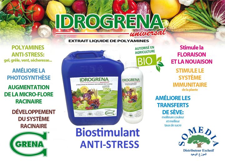 HYDROGRENA