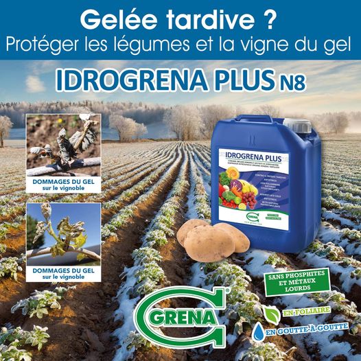 Idrogrena Plus N8 pour protéger les légumes et la vigne
