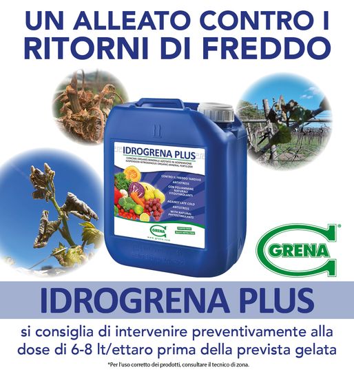 gelate e freddo tardivo? IDROGRENA PLUS è UN ALLEATO CONTRO