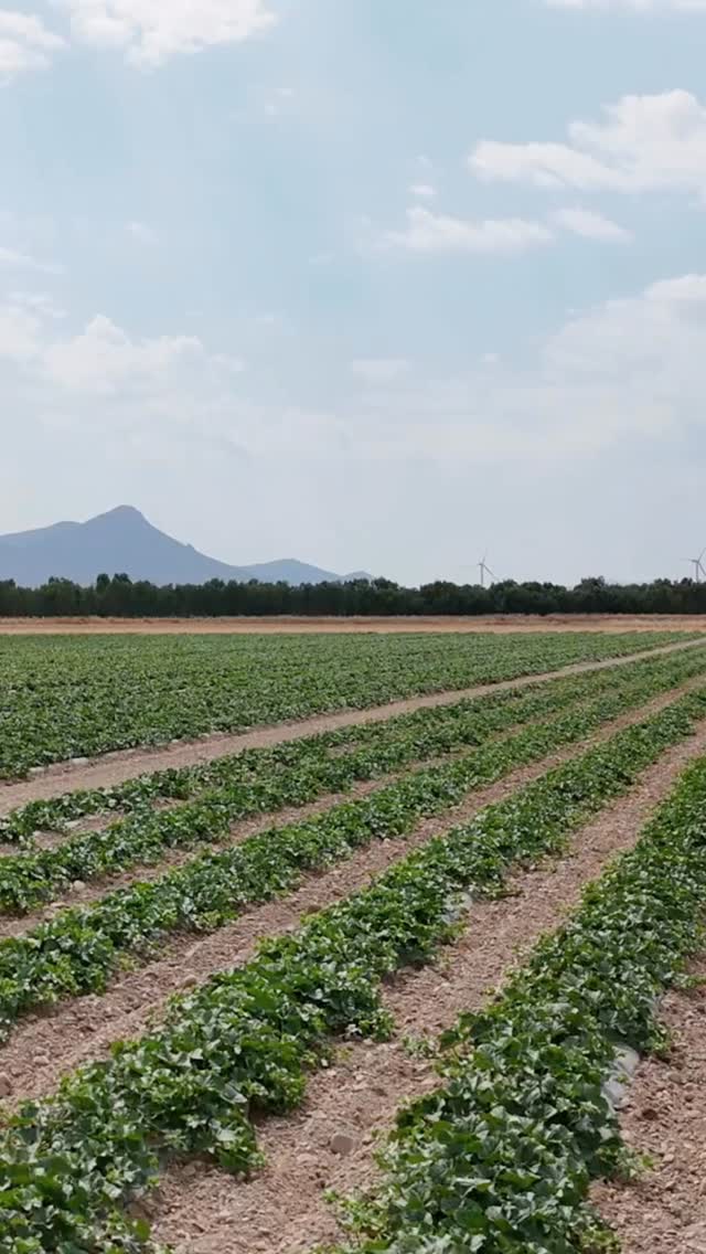 siente la tierra y recolectar el futuro nos compromete diariamente