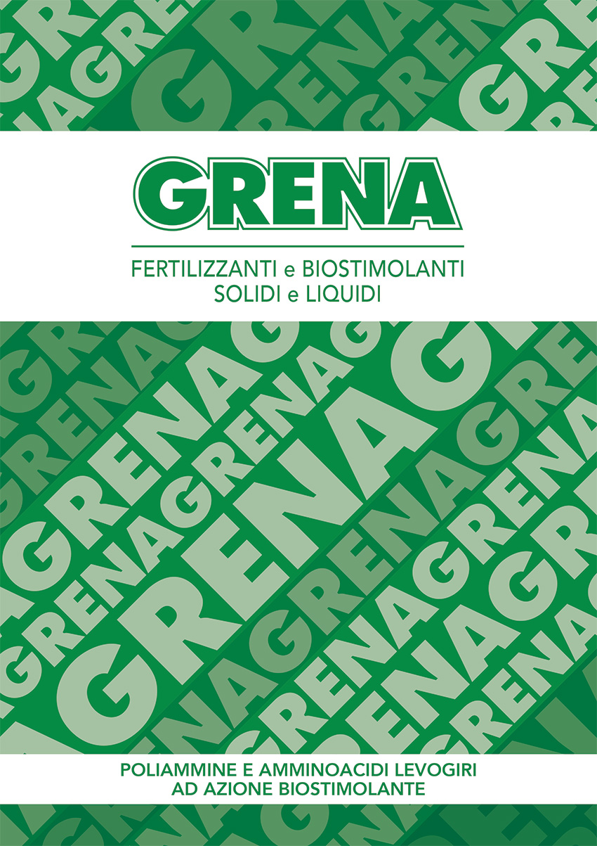 it catalogo grena 2025 2026 1