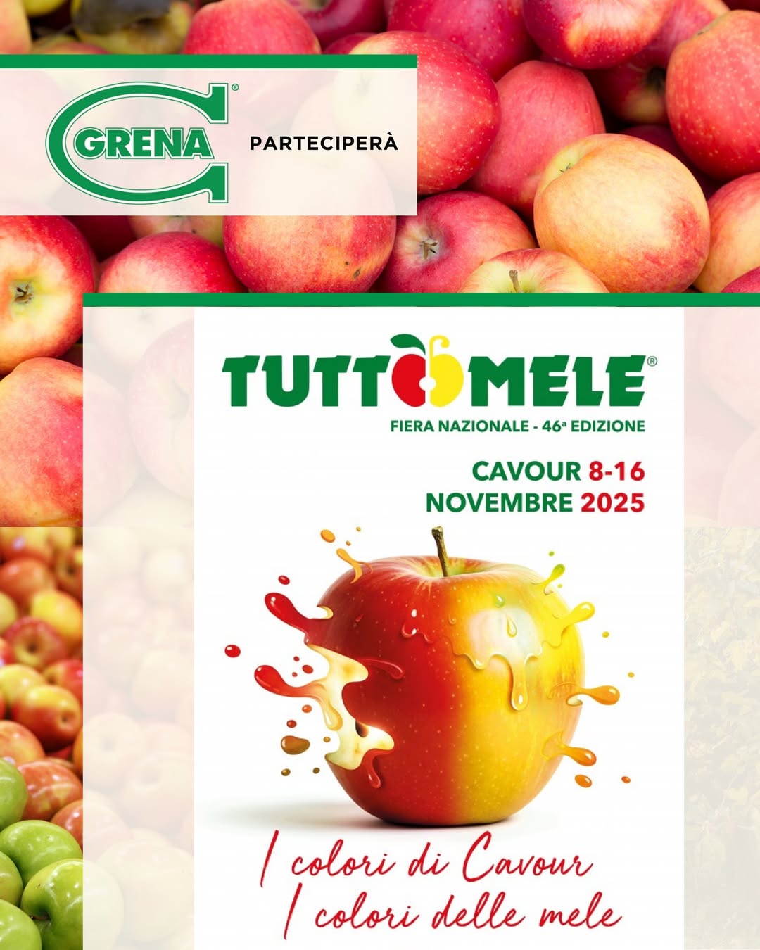 las manzanas de cavour y de los municipios circundantes son