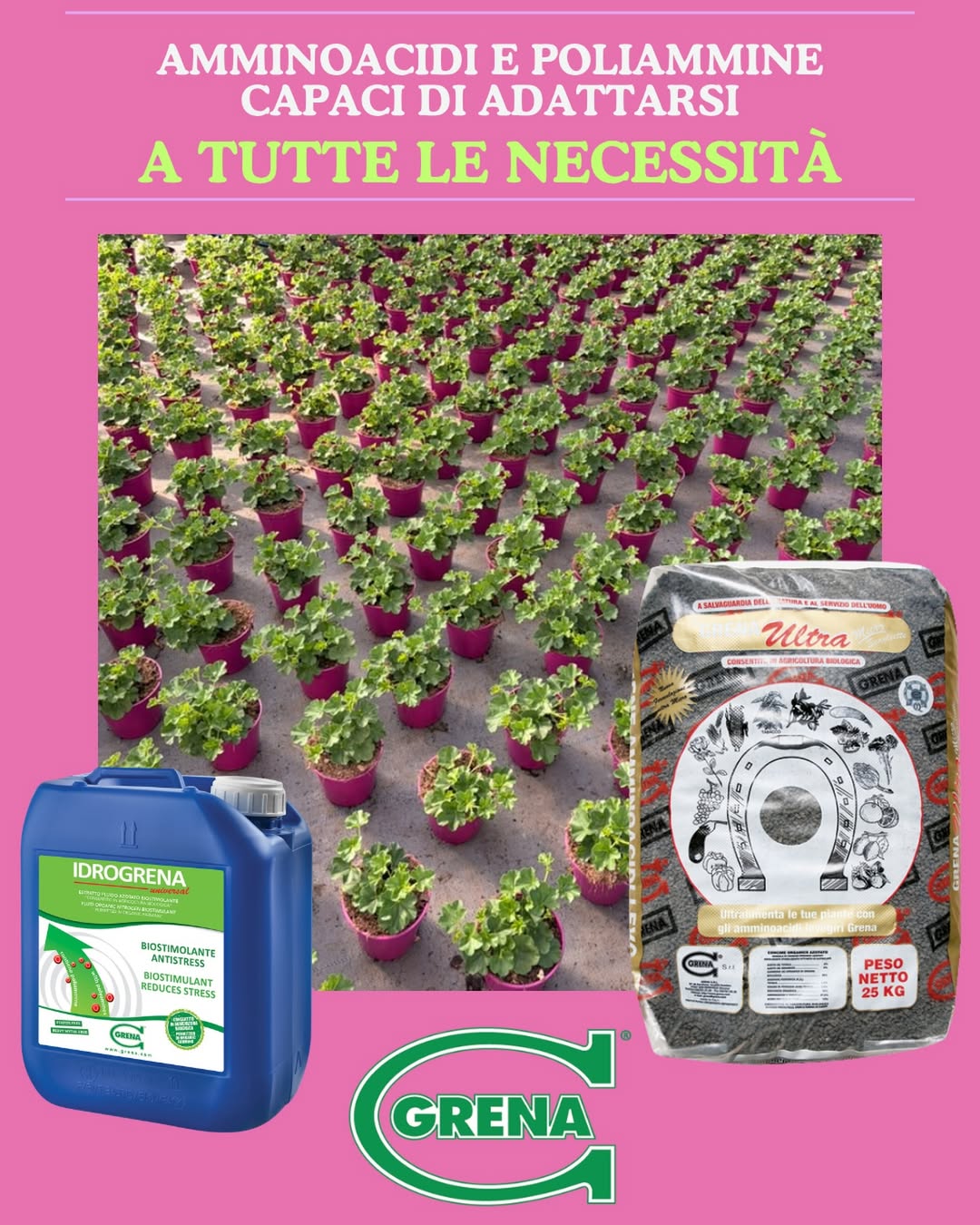 l’impegno costante che dedichiamo alla qualità dei nostri prodotti. dalla