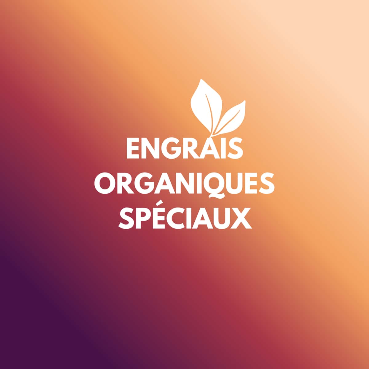 Engrais Organiques Spéciaux
